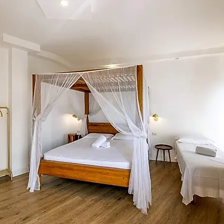 Hotel Domino 3*