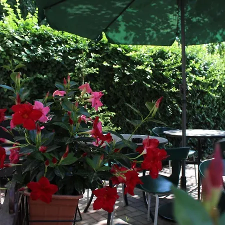 Domino Отель 3*